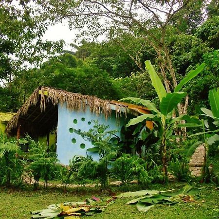 Casa Caracol Hotel San Luis Potosí Eksteriør billede
