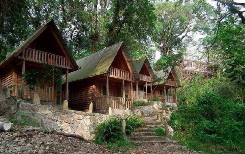 Casa Caracol Hotel San Luis Potosí Eksteriør billede
