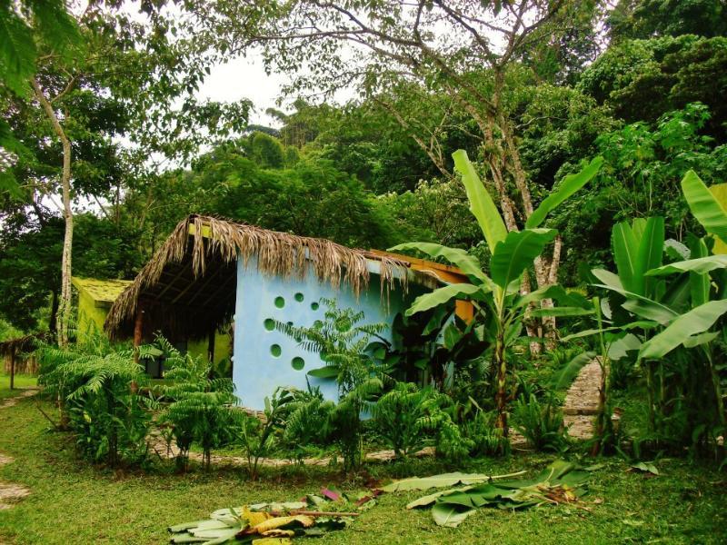 Casa Caracol Hotel San Luis Potosí Eksteriør billede